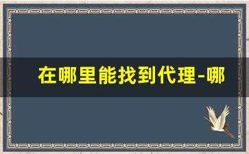 在哪里能找到代理-哪里可以联系到代理商