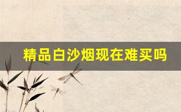 精品白沙烟现在难买吗-白沙烟硬精品三代为什么难买