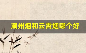 潮州烟和云霄烟哪个好-福建的云霄烟怎么样