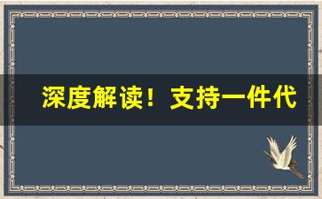深度解读！支持一件代发的平台“刚毅不屈”